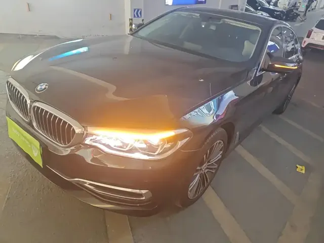 BMW 5 Series 2019 530Li Premium Luxury Package