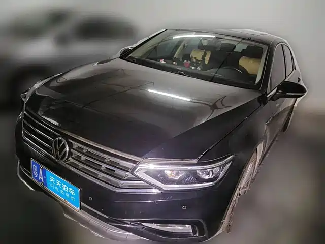 Volkswagen Magotan 2020 330TSI DSG Luxury
