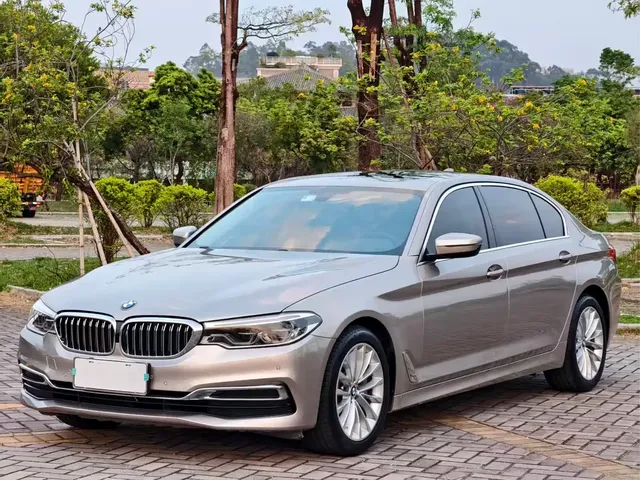 BMW 5 Series 2020 530Li Leading Luxury Package