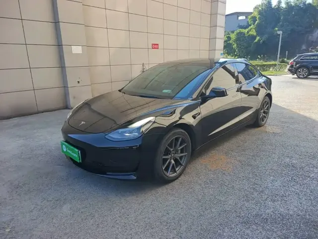 Tesla Model 3 2022 Model Rear-Wheel Drive Version