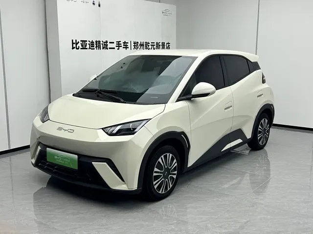 BYD Seagull 2024 Glory Edition 305km Vitality Edition