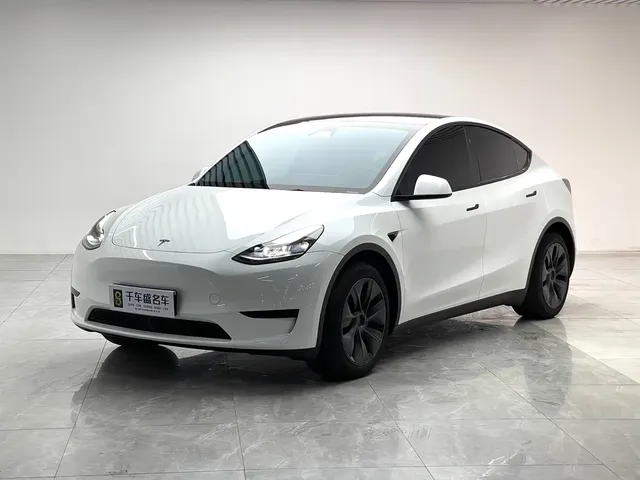 Tesla Model Y 2024 Rear-Wheel Drive Version