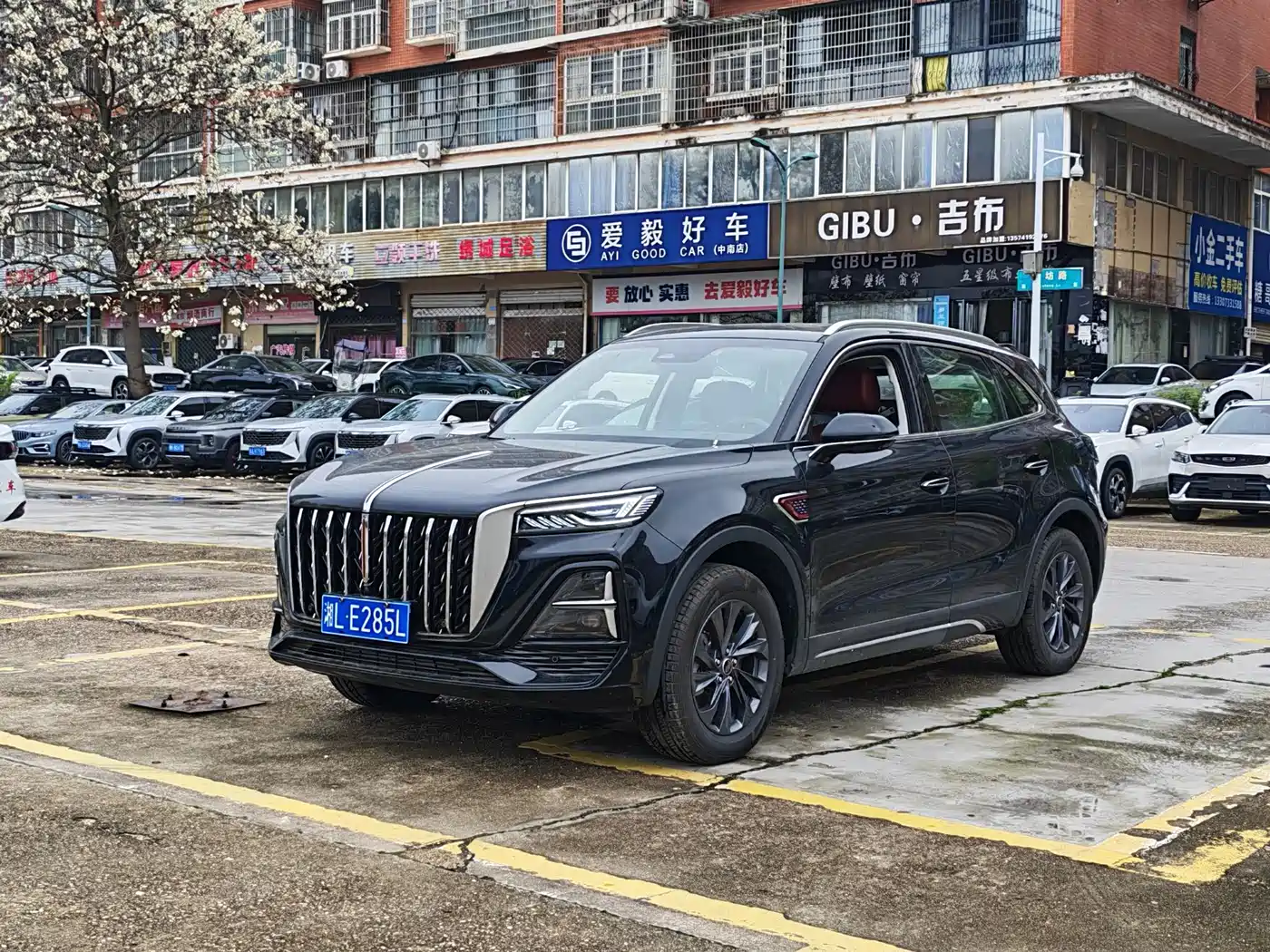 Hongqi HS5 2025 2.0T 2WD Qixiang Pro