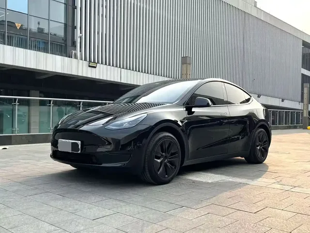 Tesla Model Y 2022 Rear-Wheel Drive Version