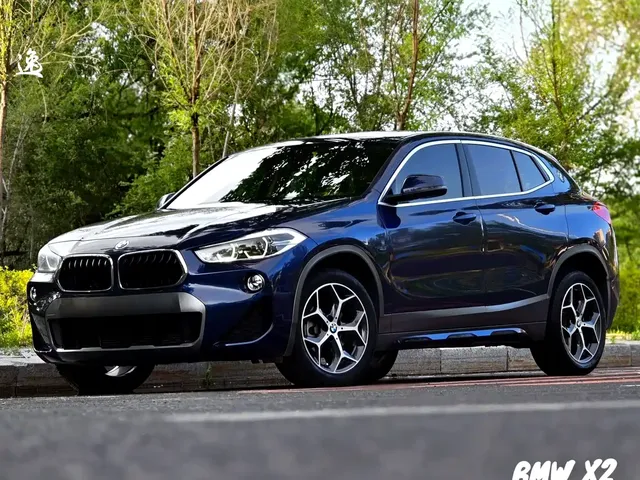 BMW X2 (Import) 2019 sDrive20i M Off-Road Package China VI