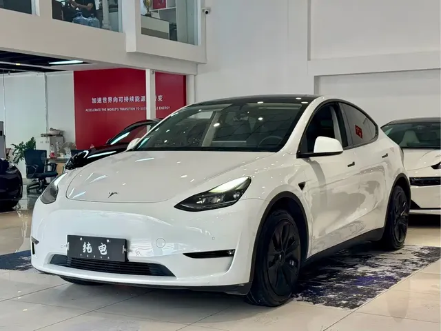 Tesla Model Y 2021 Standard Range Rear-Wheel Drive
