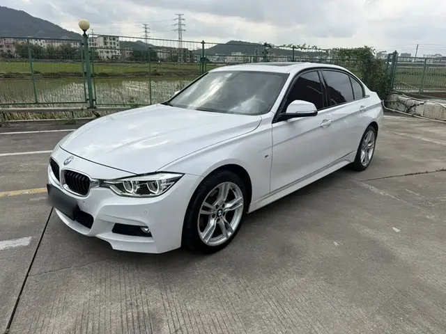 BMW 3 Series 2019 320Li M Sport Package