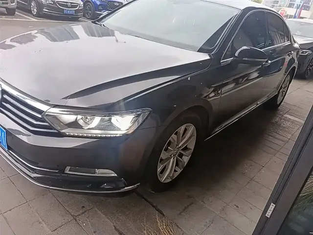 Volkswagen Magotan 2019 330TSI DSG Luxury China V