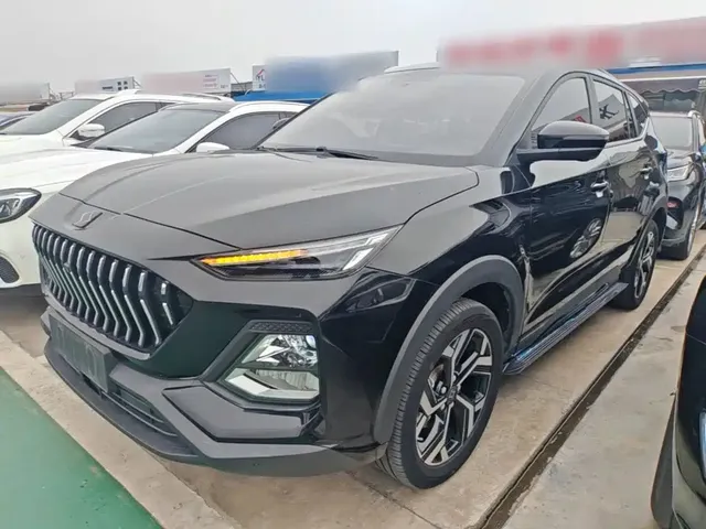 Sehol X8 2021 300T DCT Premium Smart Connect 7-seater