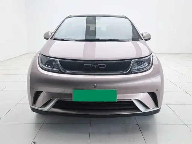 BYD Dolphin 2023 420km Freedom Edition