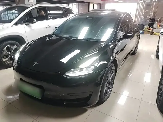 Tesla Model 3 2022 Model Rear-Wheel Drive Version