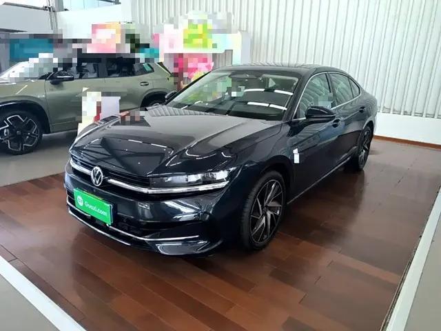 Volkswagen Magotan 2024 380TSI DSG Ultimate Edition