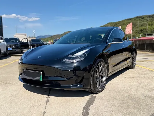 Tesla Model 3 2020 Standard Range Rear-Wheel Drive Upgrade