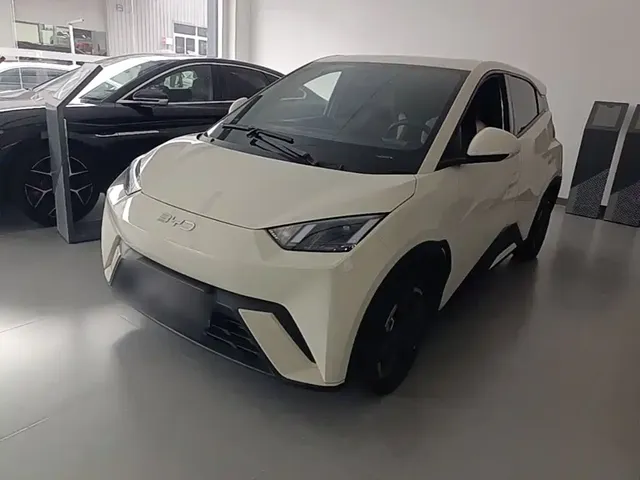 BYD Seagull 2024 Glory Edition 305km Freedom Edition