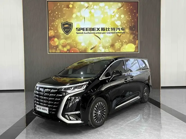 Denza D9 2024 DM-i 980 AWD Premium