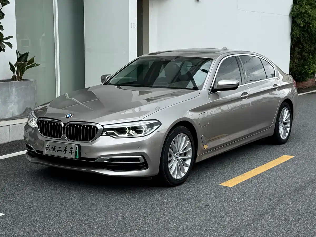 BMW 5 Series New Energy 2020 530Le Luxury Package