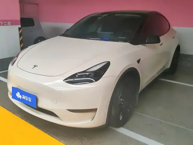 Tesla Model Y 2021 Standard Range Rear-Wheel Drive