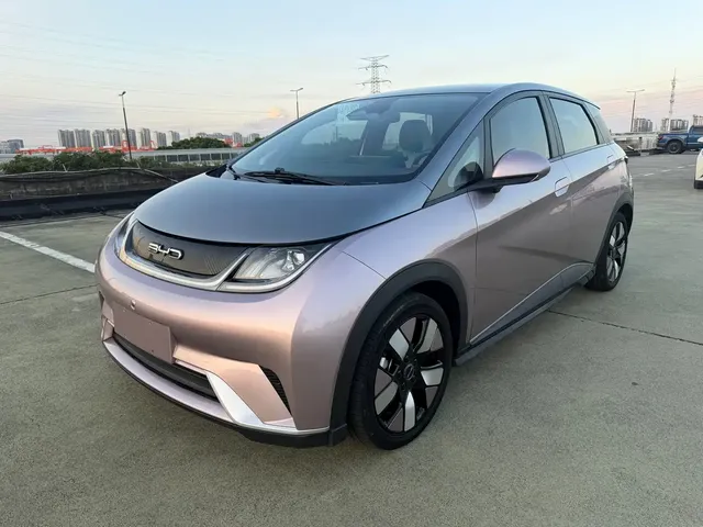 BYD Dolphin 2021 401km Knight Edition