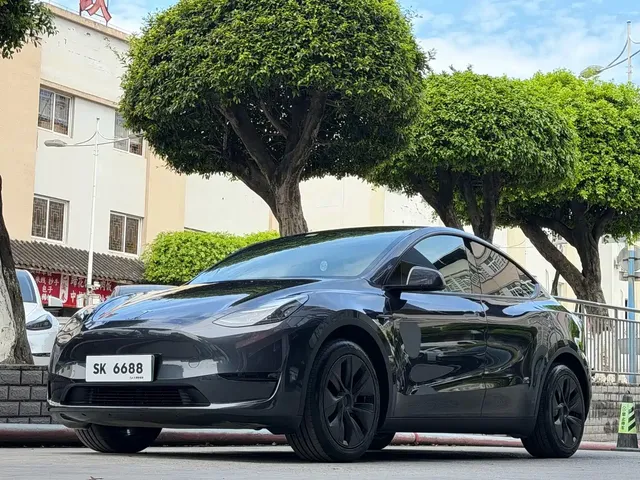 Tesla Model Y 2024 Rear-Wheel Drive Version