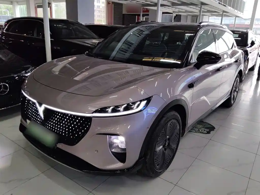 Voyah Auto Voyah Zhiyin 2024 4WD Global Edition