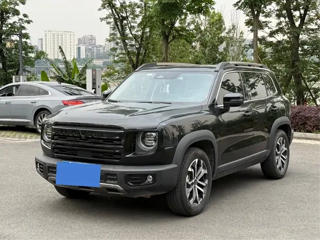 Haval Big Dog 2024 1.5T DCT Border Collie Edition