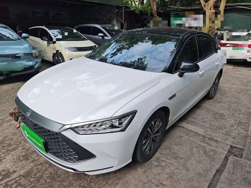 BYD Qin PLUS 2023 Champion Edition DM-i 55KM Leading