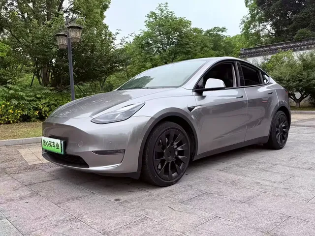 Tesla Model Y 2021 Standard Range Rear-Wheel Drive