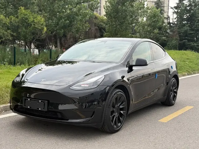 Tesla Model Y 2022 Rear-Wheel Drive Version