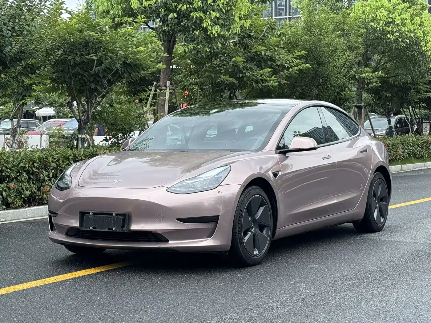 Tesla Model 3 2021 Standard Range Rear-Wheel Drive Upgrade