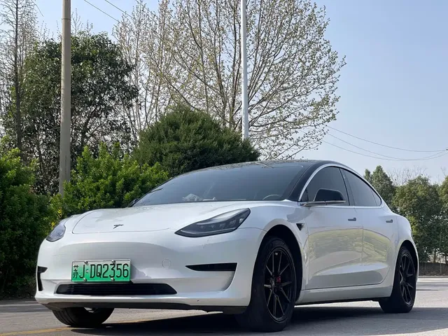 Tesla Model 3 2019 Standard Range Rear-Wheel Drive Upgrade