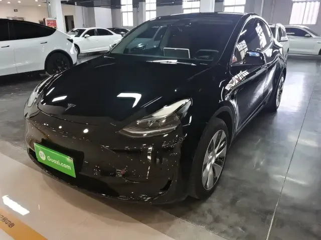 Tesla Model Y 2022 Rear-Wheel Drive Version