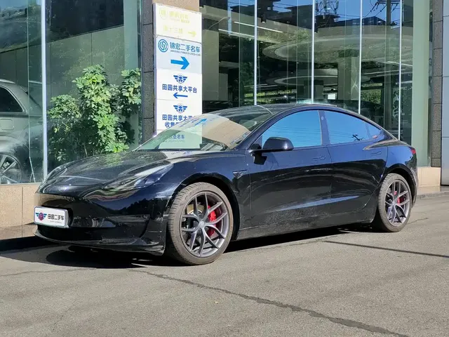 Tesla Model 3 2021 Performance High-Performance All-Wheel Drive 3D6