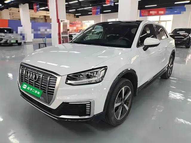 Audi Q2L e-tron 2019 Q2L e-tron Pure Electric Smart Enjoyment