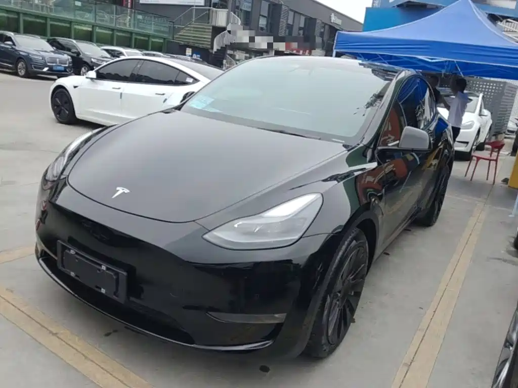 Tesla Model Y 2021 Long Range All-Wheel Drive 3D7