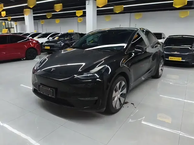 Tesla Model Y 2021 Standard Range Rear-Wheel Drive
