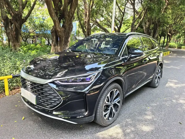 BYD Tang New Energy 2025 DM-i 115KM Prestige Type