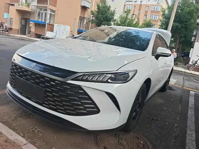 BYD Qin PLUS 2025 DM-i Smart Drive 55KM Leader