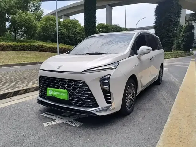 Buick GL8 New Energy 2024 Land Honor Luxury Edition 6-Seater