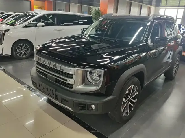 Haval Big Dog 2024 1.5T DCT Border Collie Edition
