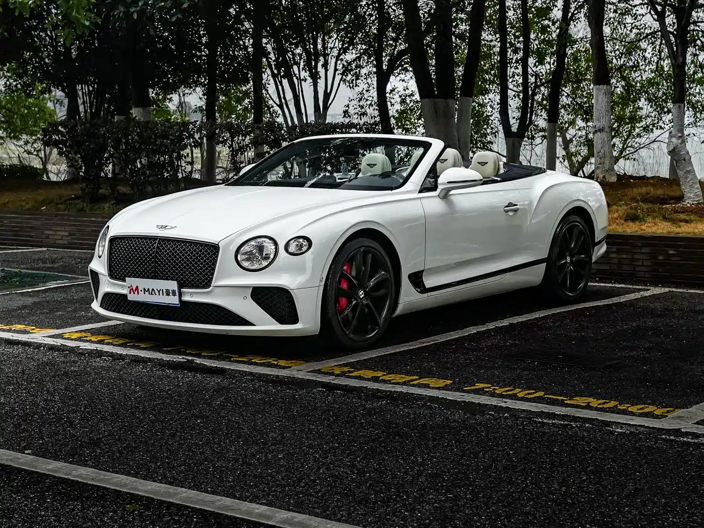 Bentley Continental 2019 6.0T GT W12 Convertible