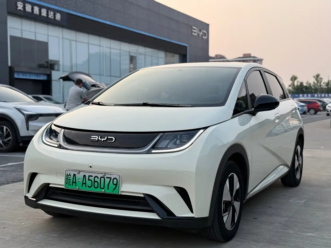 BYD Dolphin 2023 420km Freedom Edition