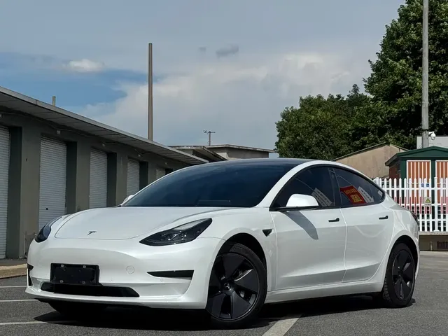 Tesla Model 3 2022 Model Rear-Wheel Drive Version