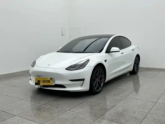 Tesla Model 3 2021 Performance High-Performance All-Wheel Drive 3D6