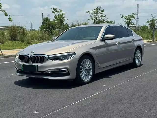 BMW 5 Series New Energy 2020 530Le Luxury Package