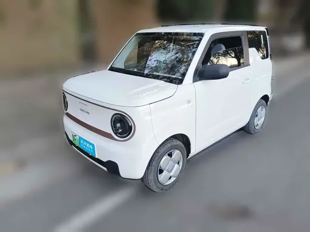 Geely Galaxy Panda 2024 Panda mini 200km Endurance Bear