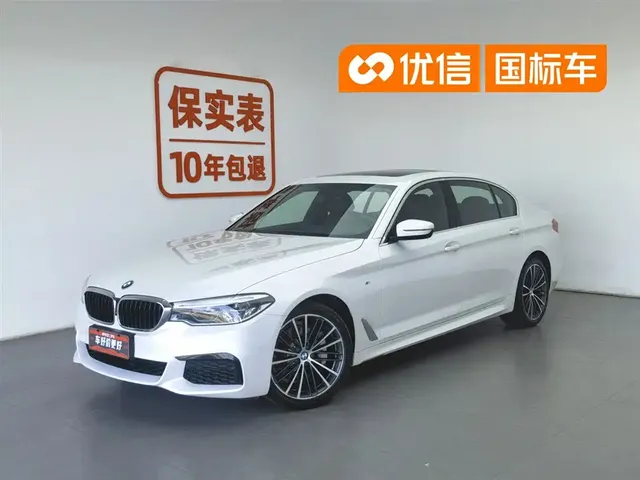 BMW 5 Series 2020 530Li Leading M Sport Package
