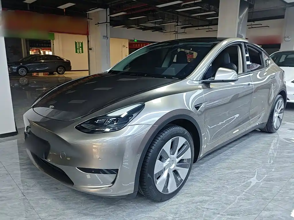 Tesla Model Y 2022 Rear-Wheel Drive Version