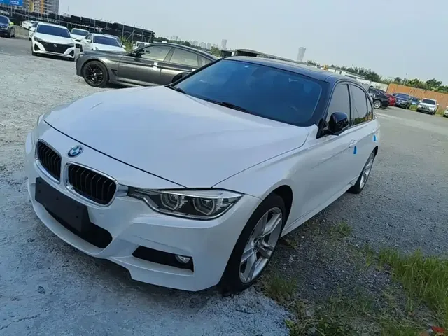 BMW 3 Series 2019 320Li M Sport Package