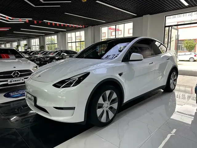 Tesla Model Y 2021 Standard Range Rear-Wheel Drive