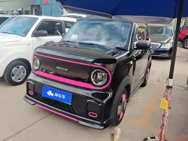 Geely Galaxy Panda 2025 Model Year 210km Panda Kart